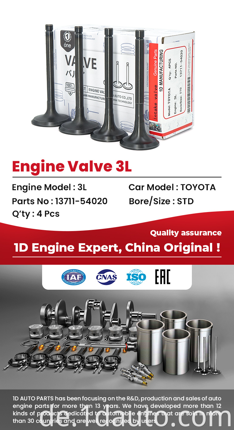 Toyota 3L Engine Valves 